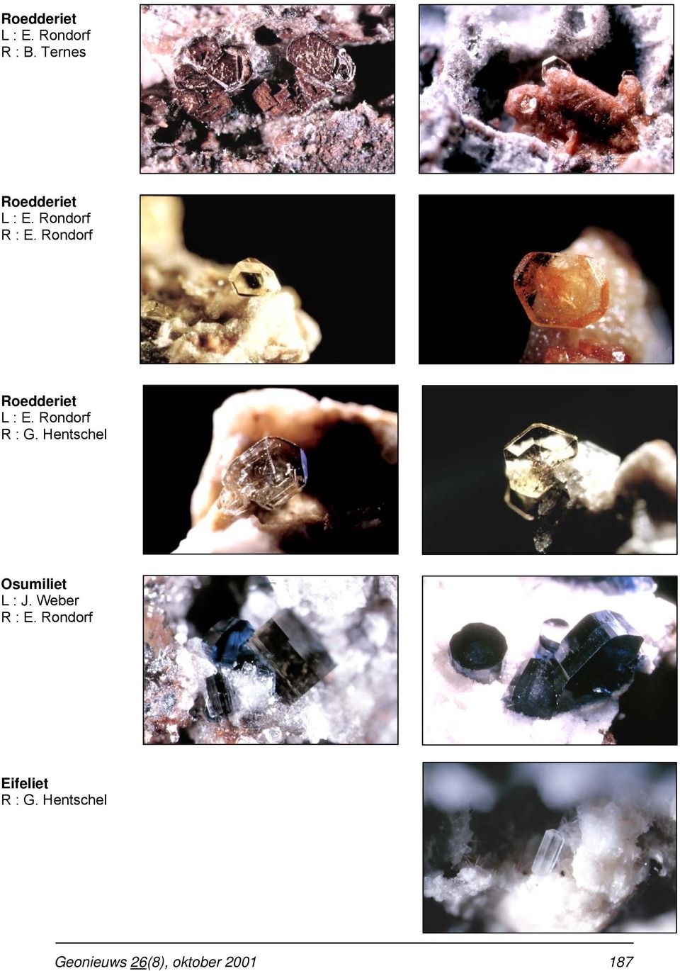 Hentschel Osumiliet L : J.