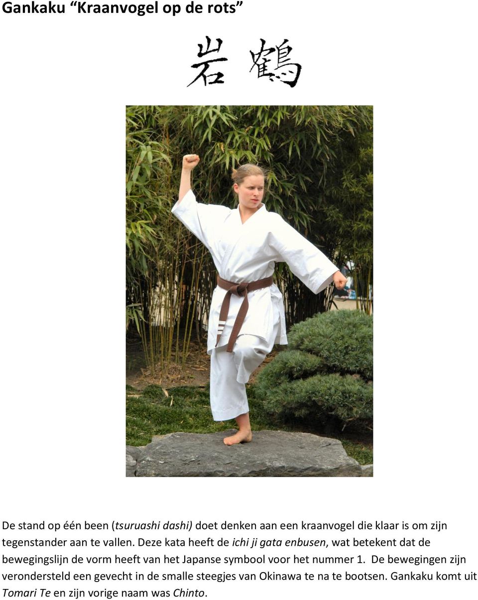 Deze kata heeft de ichi ji gata enbusen, wat betekent dat de bewegingslijn de vorm heeft van het Japanse