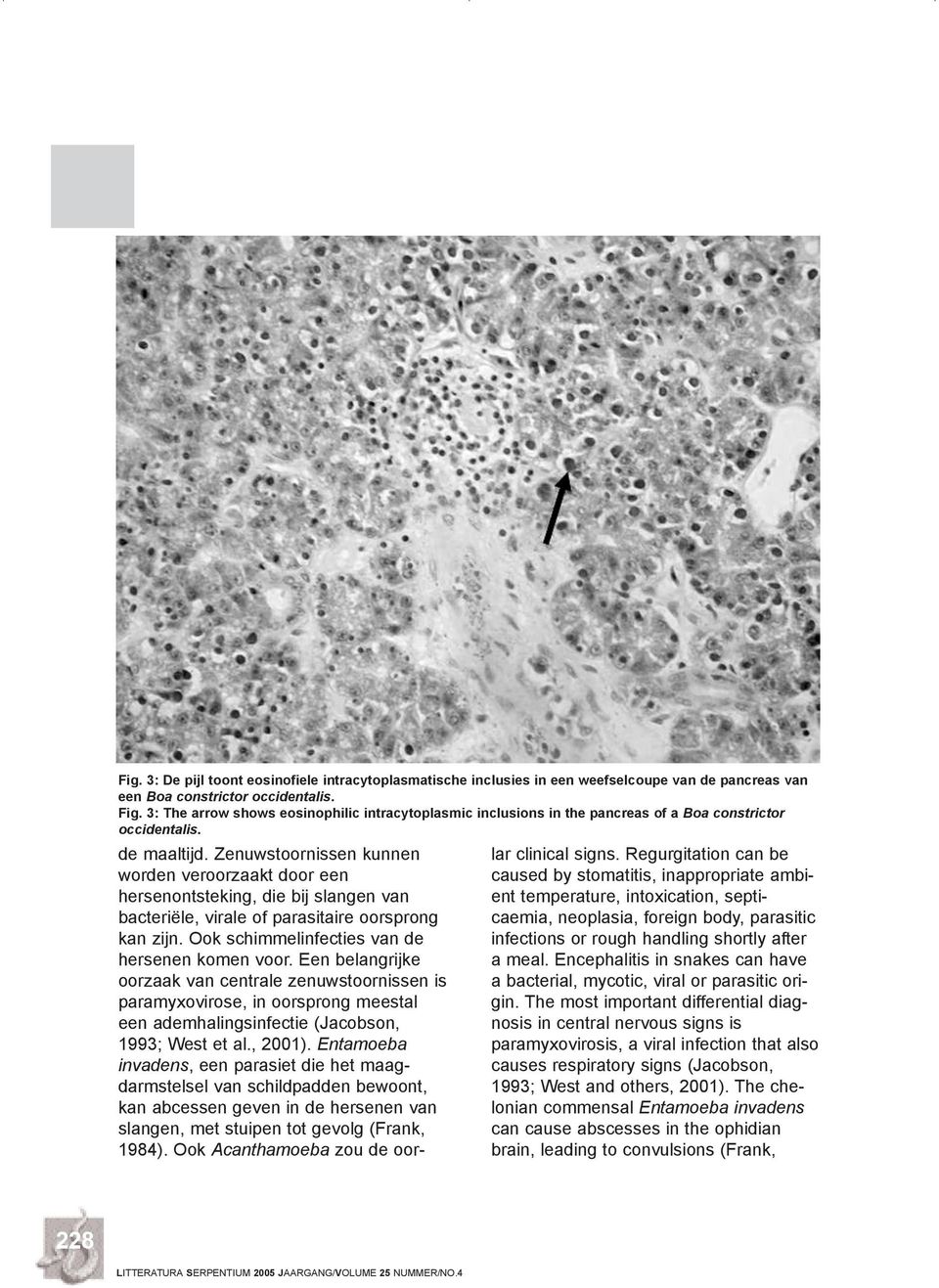 Zenuwstoornissen kunnen worden veroorzaakt door een hersenontsteking, die bij slangen van bacteriële, virale of parasitaire oorsprong kan zijn. Ook schimmelinfecties van de hersenen komen voor.