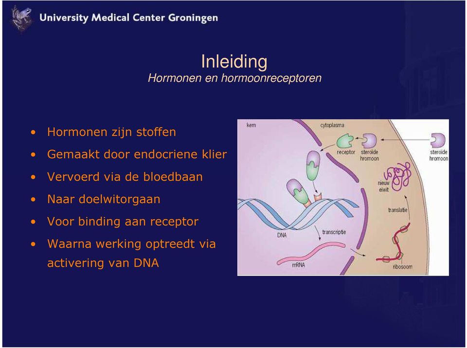 via de bloedbaan Naar doelwitorgaan Voor binding aan