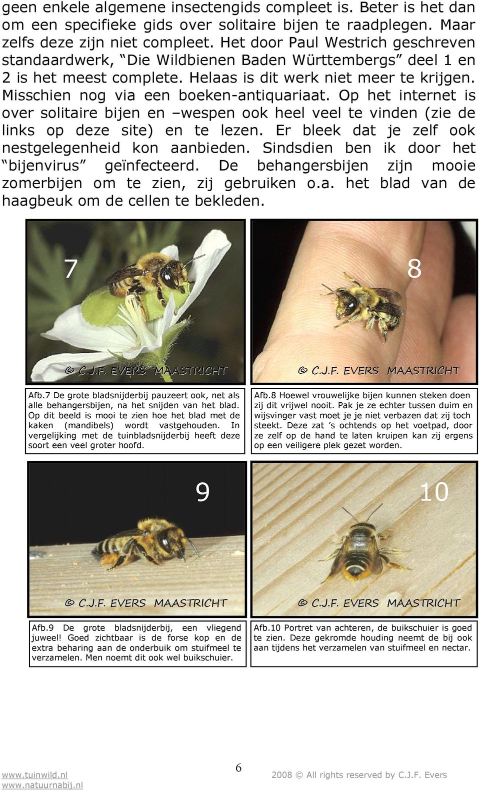 Op het internet is over solitaire bijen en wespen ook heel veel te vinden (zie de links op deze site) en te lezen. Er bleek dat je zelf ook nestgelegenheid kon aanbieden.