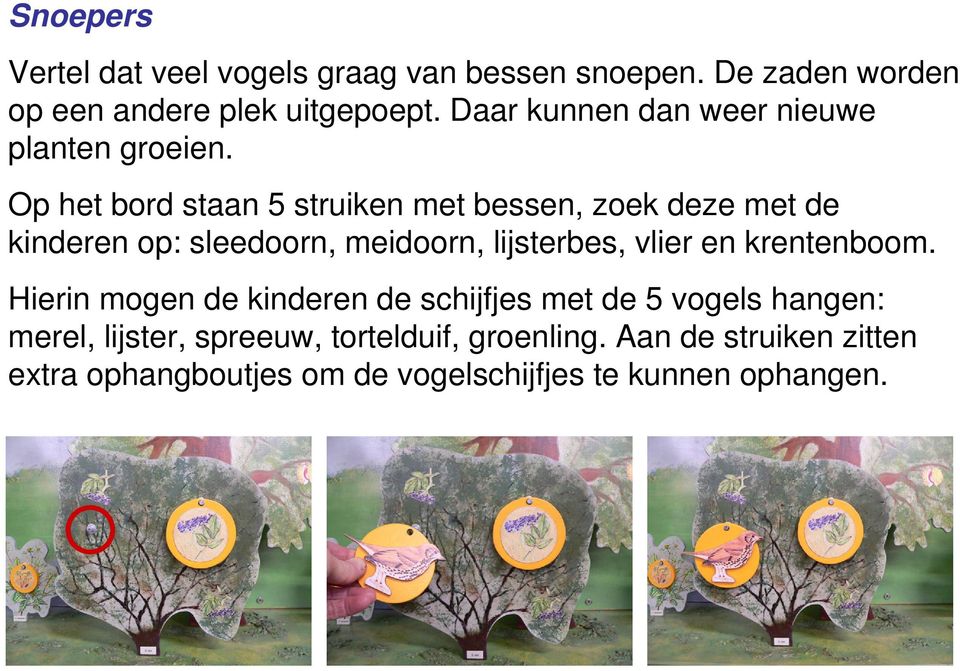 Op het bord staan 5 struiken met bessen, zoek deze met de kinderen op: sleedoorn, meidoorn, lijsterbes, vlier en