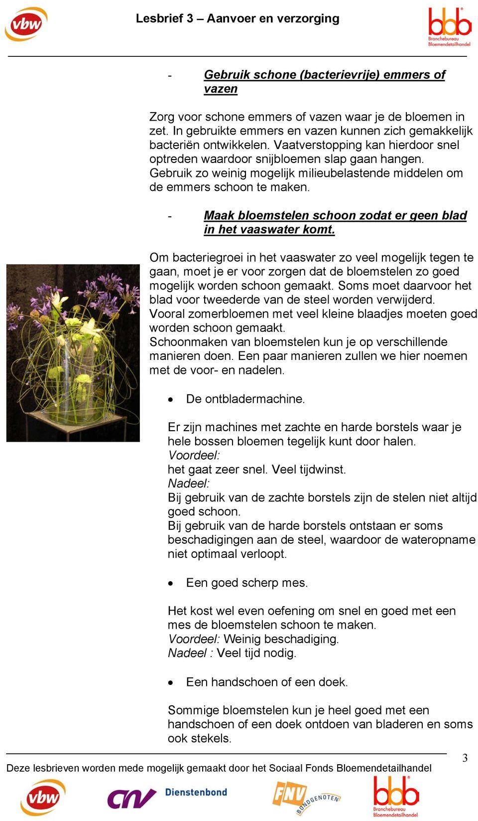 - Maak bloemstelen schoon zodat er geen blad in het vaaswater komt.