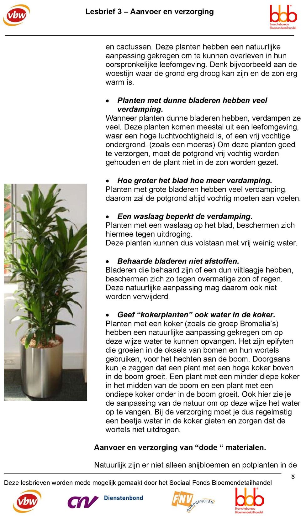 Deze planten komen meestal uit een leefomgeving, waar een hoge luchtvochtigheid is, of een vrij vochtige ondergrond.