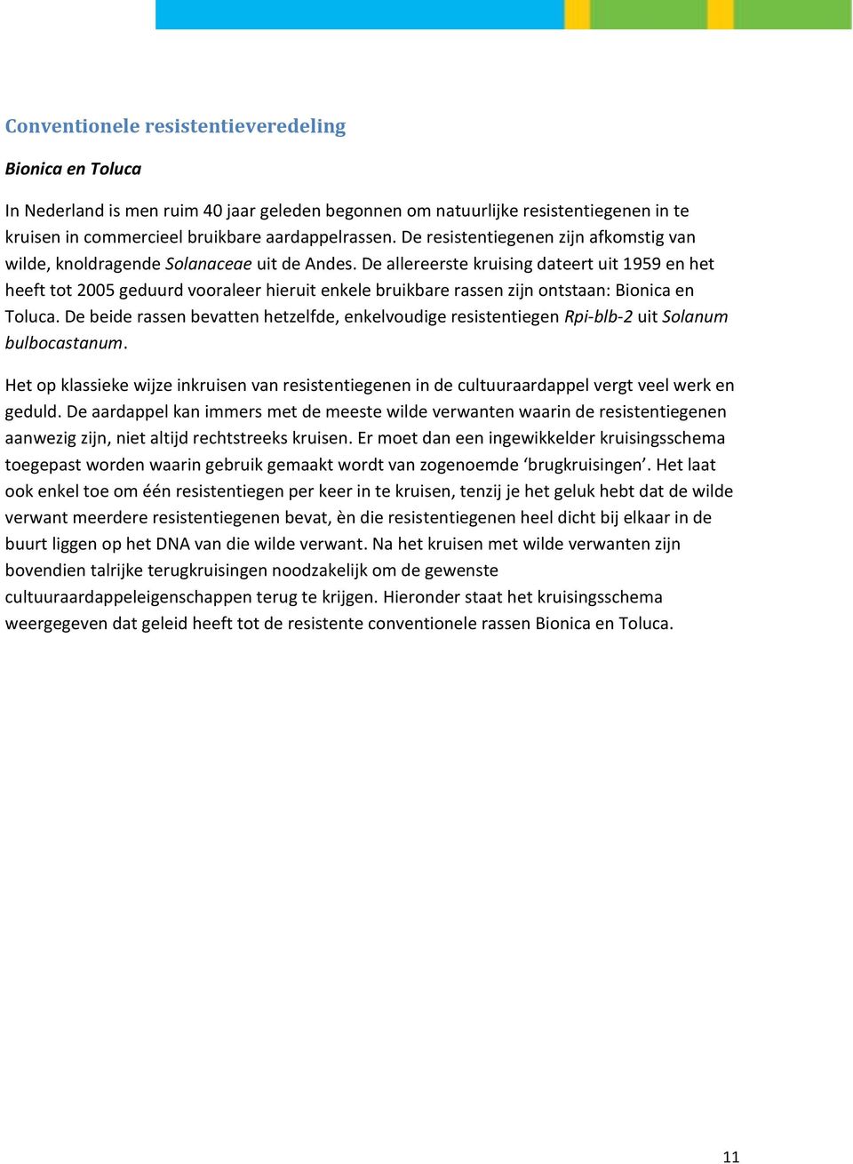 De allereerste kruising dateert uit 1959 en het heeft tot 2005 geduurd vooraleer hieruit enkele bruikbare rassen zijn ontstaan: Bionica en Toluca.