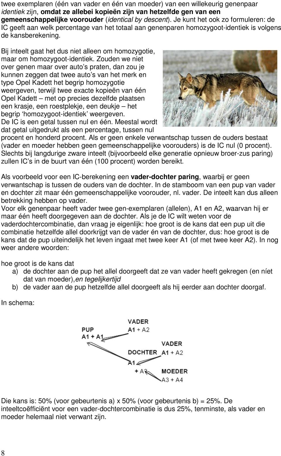 Bij inteelt gaat het dus niet alleen om homozygotie, maar om homozygoot-identiek.