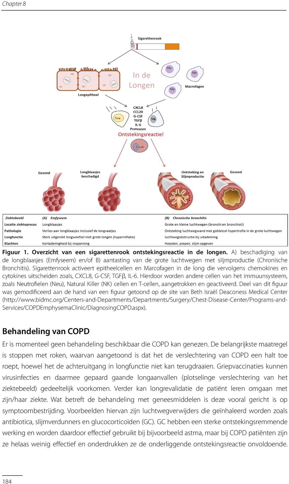 Sigarettenrook activeert epitheelcellen en Marcofagen in de long die vervolgens chemokines en cytokines uitscheiden zoals, CXCL8, G-CSF, TGFβ, IL-6.