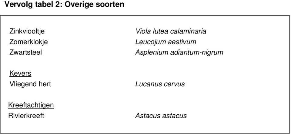 Leucojum aestivum Asplenium adiantum-nigrum Kevers