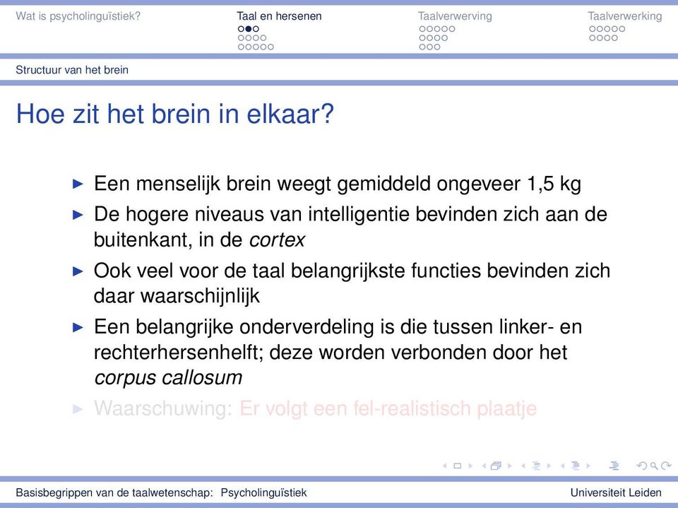 buitenkant, in de cortex Ook veel voor de taal belangrijkste functies bevinden zich daar waarschijnlijk Een