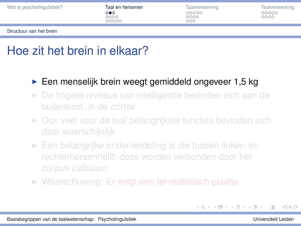 buitenkant, in de cortex Ook veel voor de taal belangrijkste functies bevinden zich daar waarschijnlijk Een