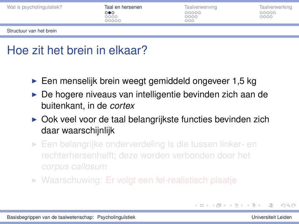 buitenkant, in de cortex Ook veel voor de taal belangrijkste functies bevinden zich daar waarschijnlijk Een