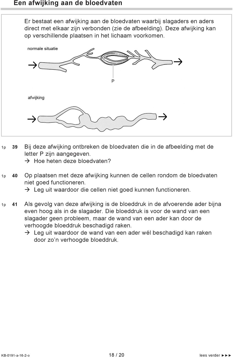 1p 40 Op plaatsen met deze afwijking kunnen de cellen rondom de bloedvaten niet goed functioneren. Leg uit waardoor die cellen niet goed kunnen functioneren.