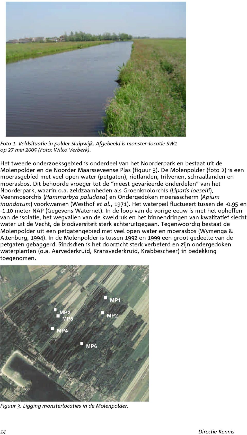 De Molenpolder (foto 2) is een moerasgebied met veel open water (petgaten), rietlanden, trilvenen, schraallanden en moerasbos.