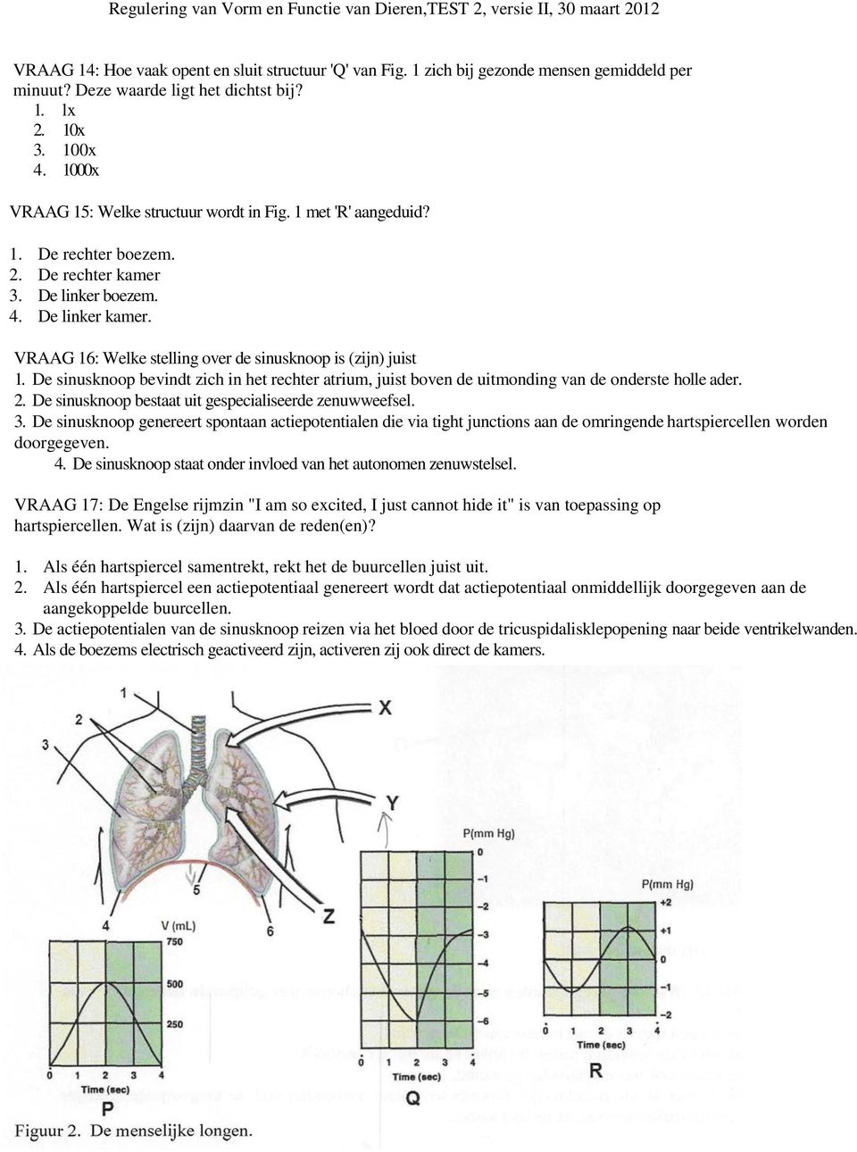 VRAAG 16: Welke stelling over de sinusknoop is (zijn) juist 1. De sinusknoop bevindt zich in het rechter atrium, juist boven de uitmonding van de onderste holle ader. 2.