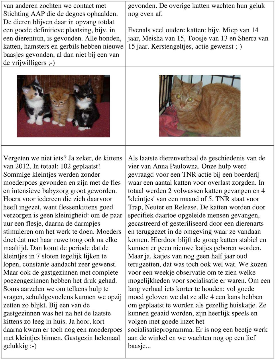 Evenals veel oudere katten: bijv. Miep van 14 jaar, Meisha van 15, Toosje van 13 en Sherra van 15 jaar. Kerstengeltjes, actie gewenst ;-) Vergeten we niet iets? Ja zeker, de kittens van 2012.