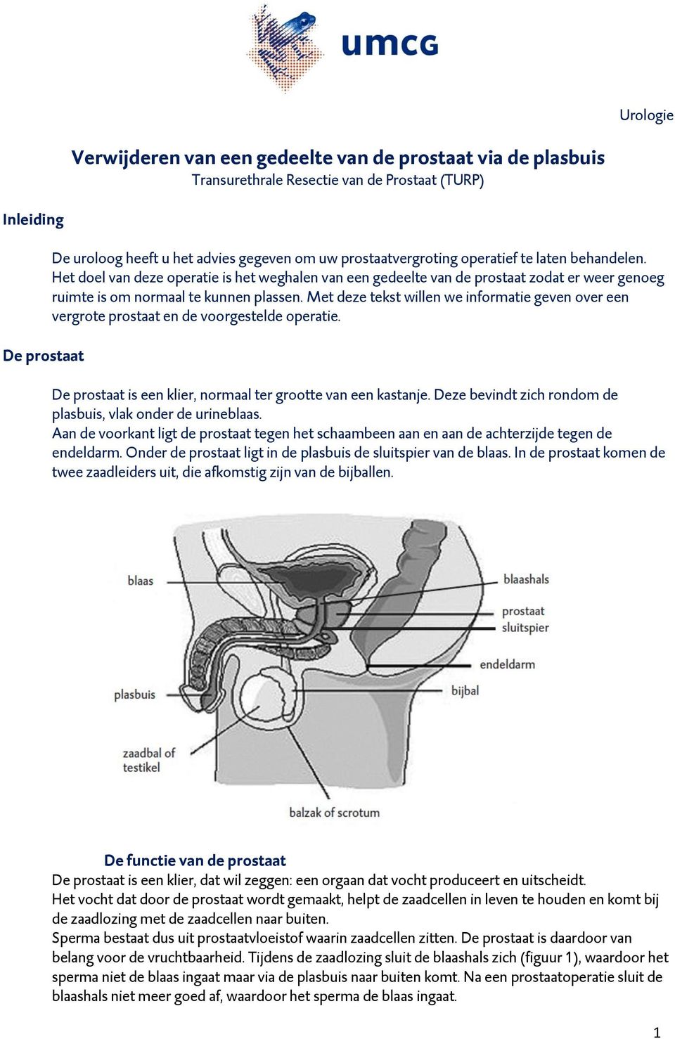 Met deze tekst willen we informatie geven over een vergrote prostaat en de voorgestelde operatie. De prostaat is een klier, normaal ter grootte van een kastanje.