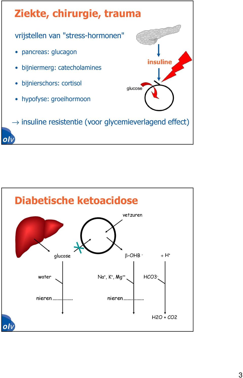 insuline resistentie (voor glycemieverlagend effect) Diabetische ketoacidose