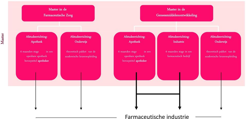 apotheek beroepstitel apotheker theoretisch pakket van de academische lerarenopleiding 6 maanden stage in een openbare apotheek