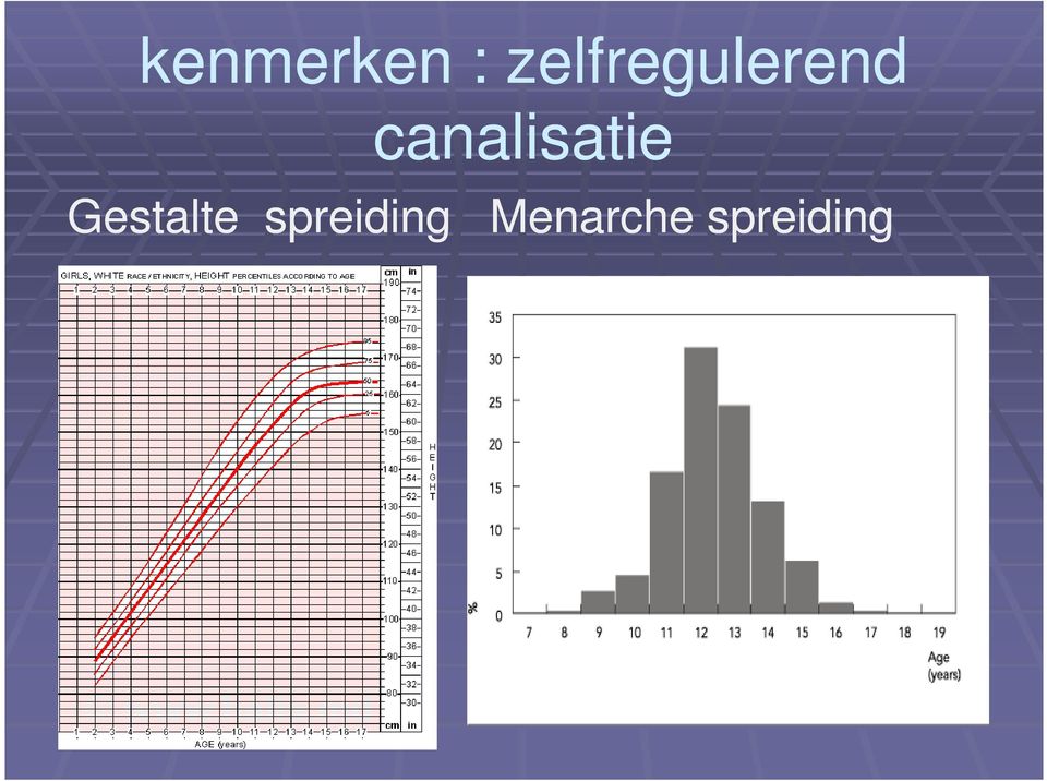 canalisatie