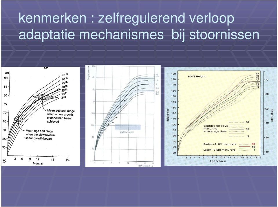 verloop adaptatie