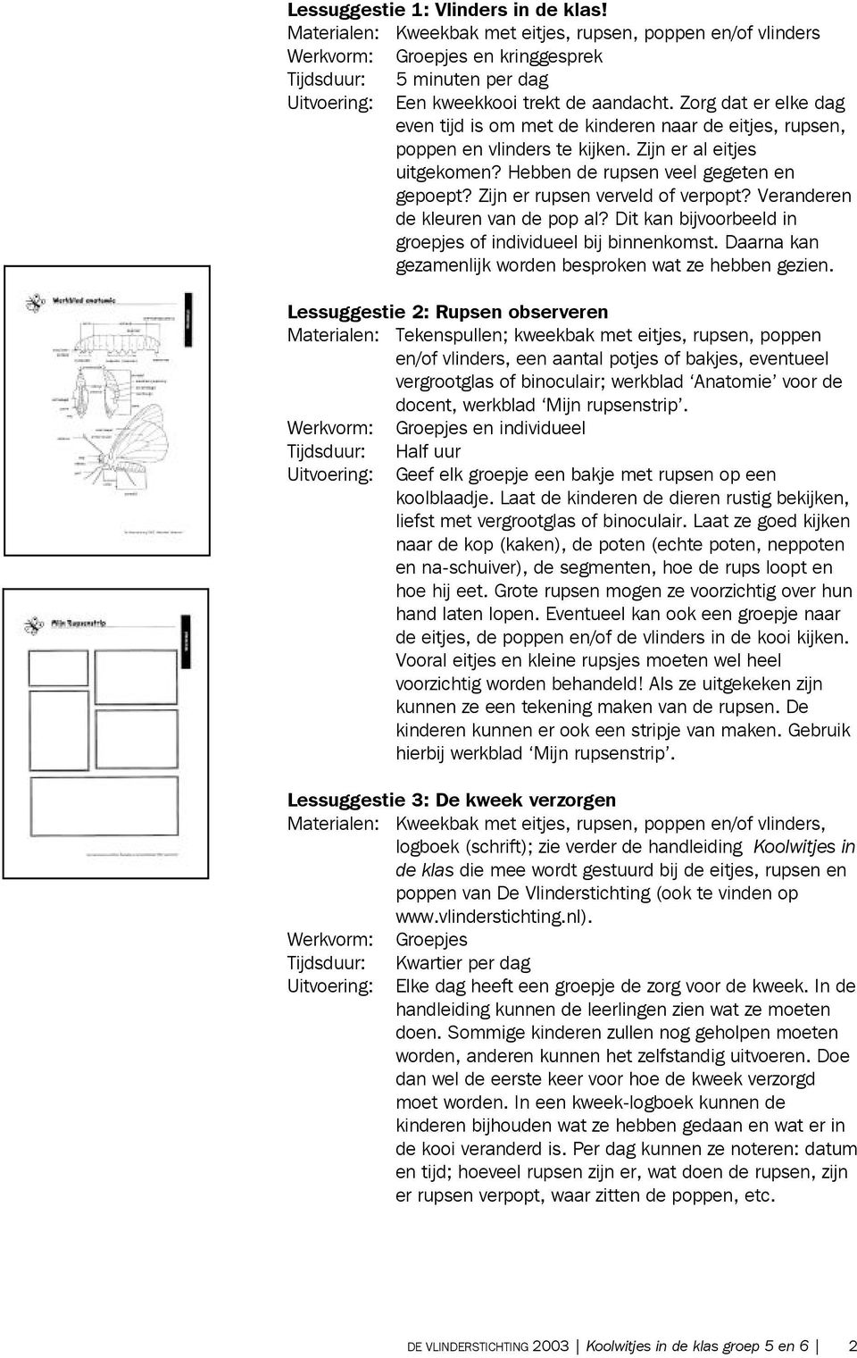 Zorg dat er elke dag even tijd is om met de kinderen naar de eitjes, rupsen, poppen en vlinders te kijken. Zijn er al eitjes uitgekomen? Hebben de rupsen veel gegeten en gepoept?