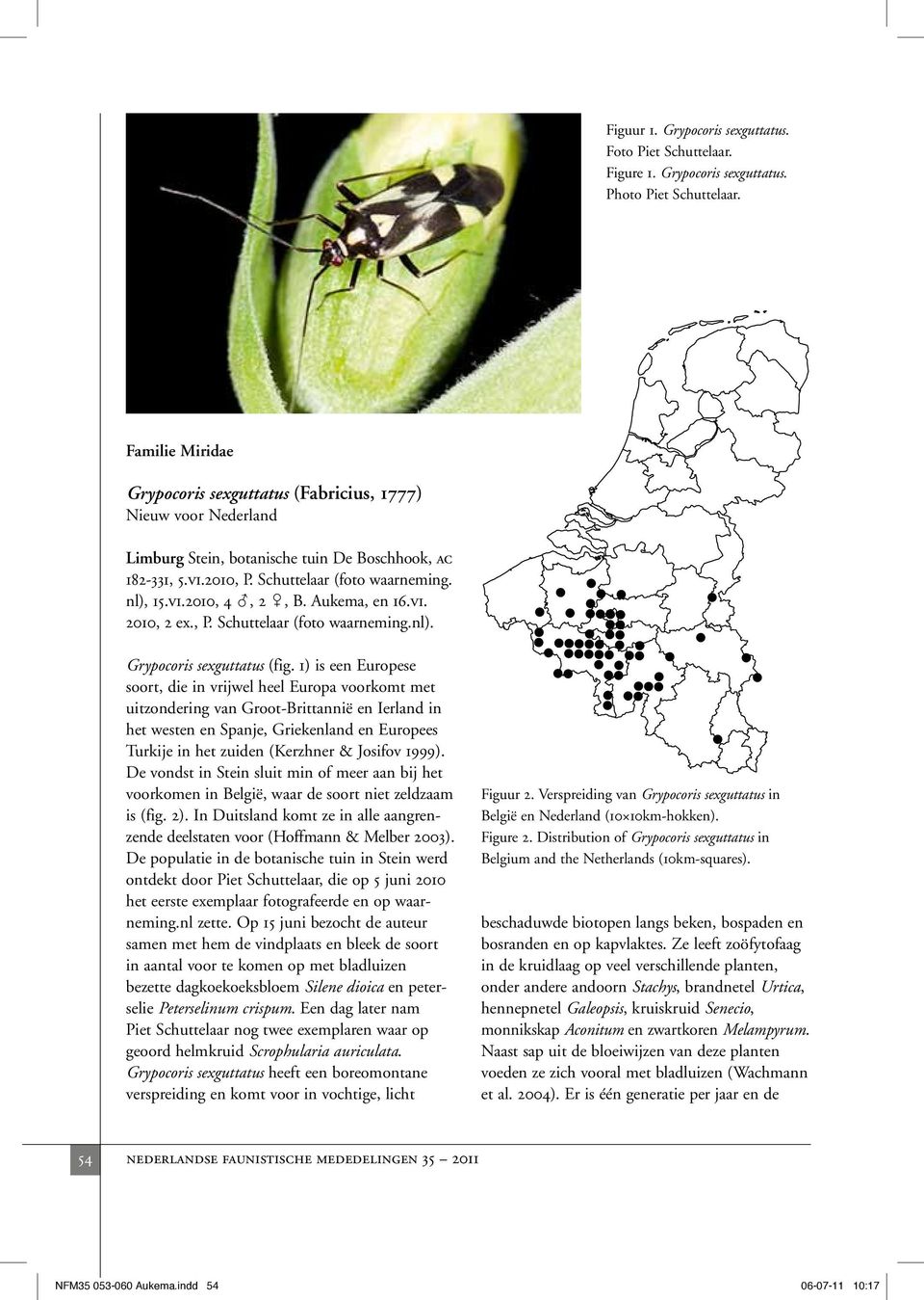 Aukema, en 16.vi. 2010, 2 ex., P. Schuttelaar (foto waarneming.nl). Grypocoris sexguttatus (fig.