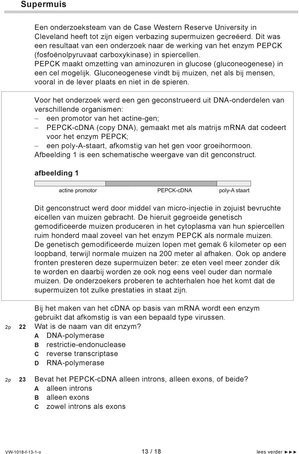 PEPCK maakt omzetting van aminozuren in glucose (gluconeogenese) in een cel mogelijk. Gluconeogenese vindt bij muizen, net als bij mensen, vooral in de lever plaats en niet in de spieren.