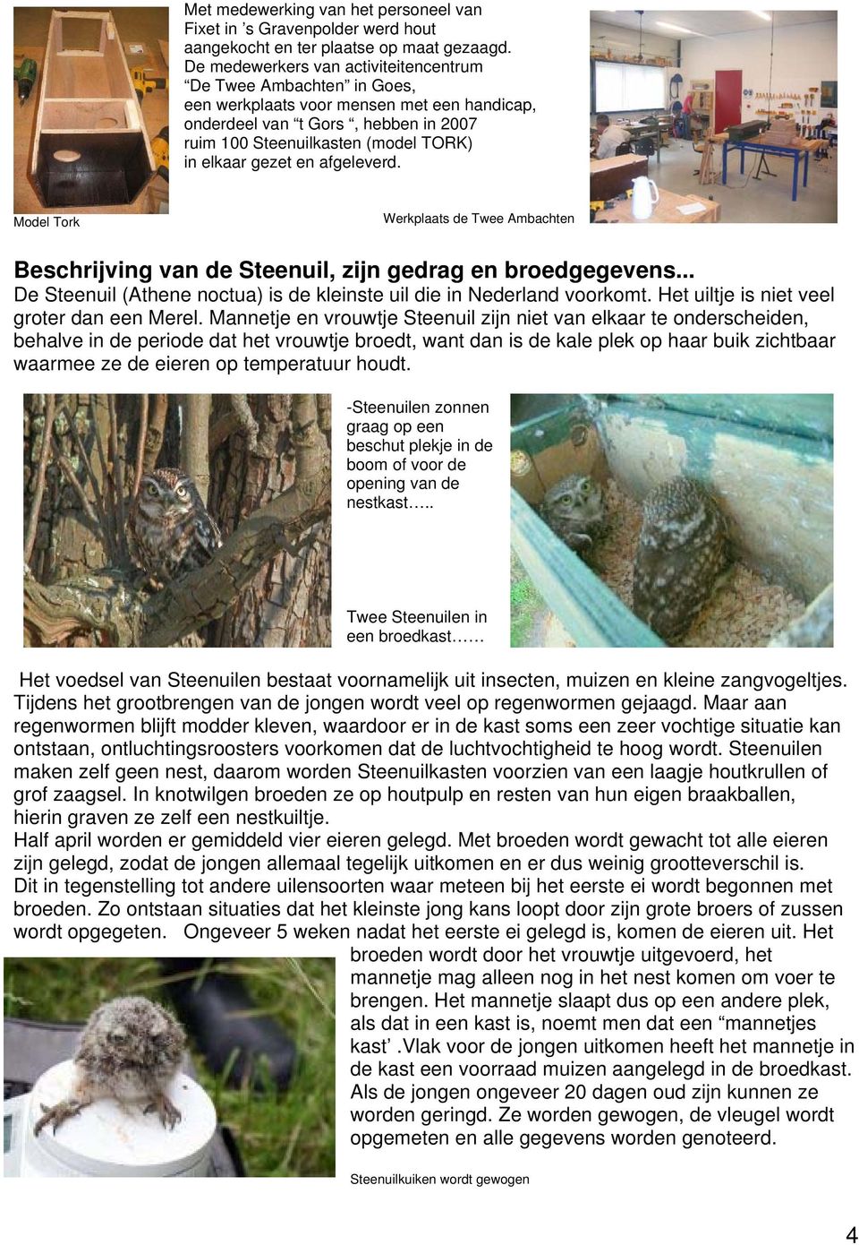 gezet en afgeleverd. Model Tork Werkplaats de Twee Ambachten Beschrijving van de Steenuil, zijn gedrag en broedgegevens... De Steenuil (Athene noctua) is de kleinste uil die in Nederland voorkomt.
