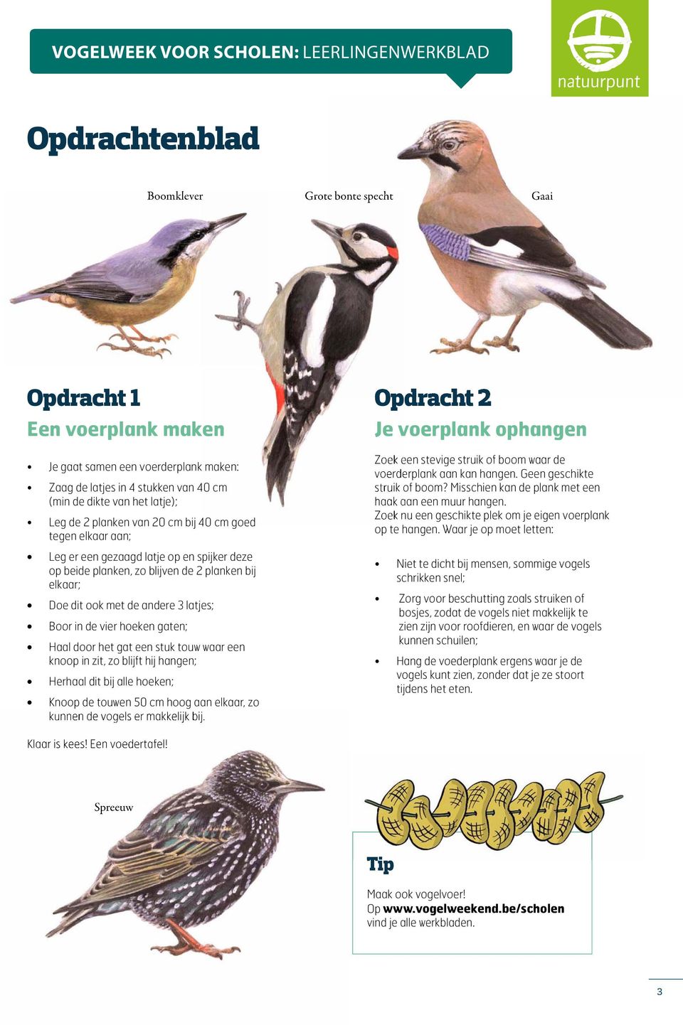 vier hoeken gaten; Haal door het gat een stuk touw waar een knoop in zit, zo blijft hij hangen; Herhaal dit bij alle hoeken; Knoop de touwen 50 cm hoog aan elkaar, zo kunnen de vogels er makkelijk