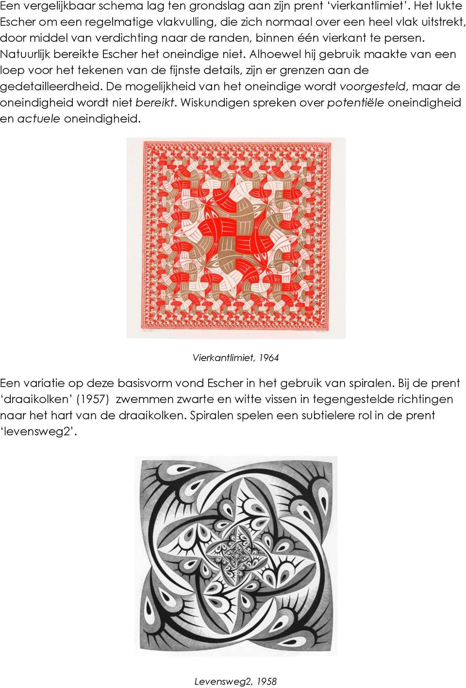 Natuurlijk bereikte Escher het oneindige niet. Alhoewel hij gebruik maakte van een loep voor het tekenen van de fijnste details, zijn er grenzen aan de gedetailleerdheid.