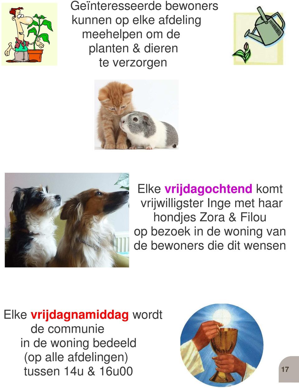 Filou op bezoek in de woning van de bewoners die dit wensen Elke vrijdagnamiddag