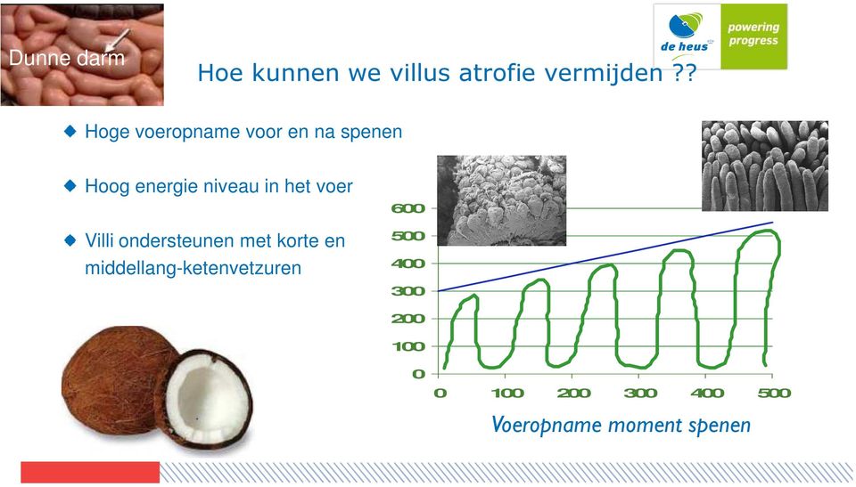 het voer Villi ondersteunen met korte en