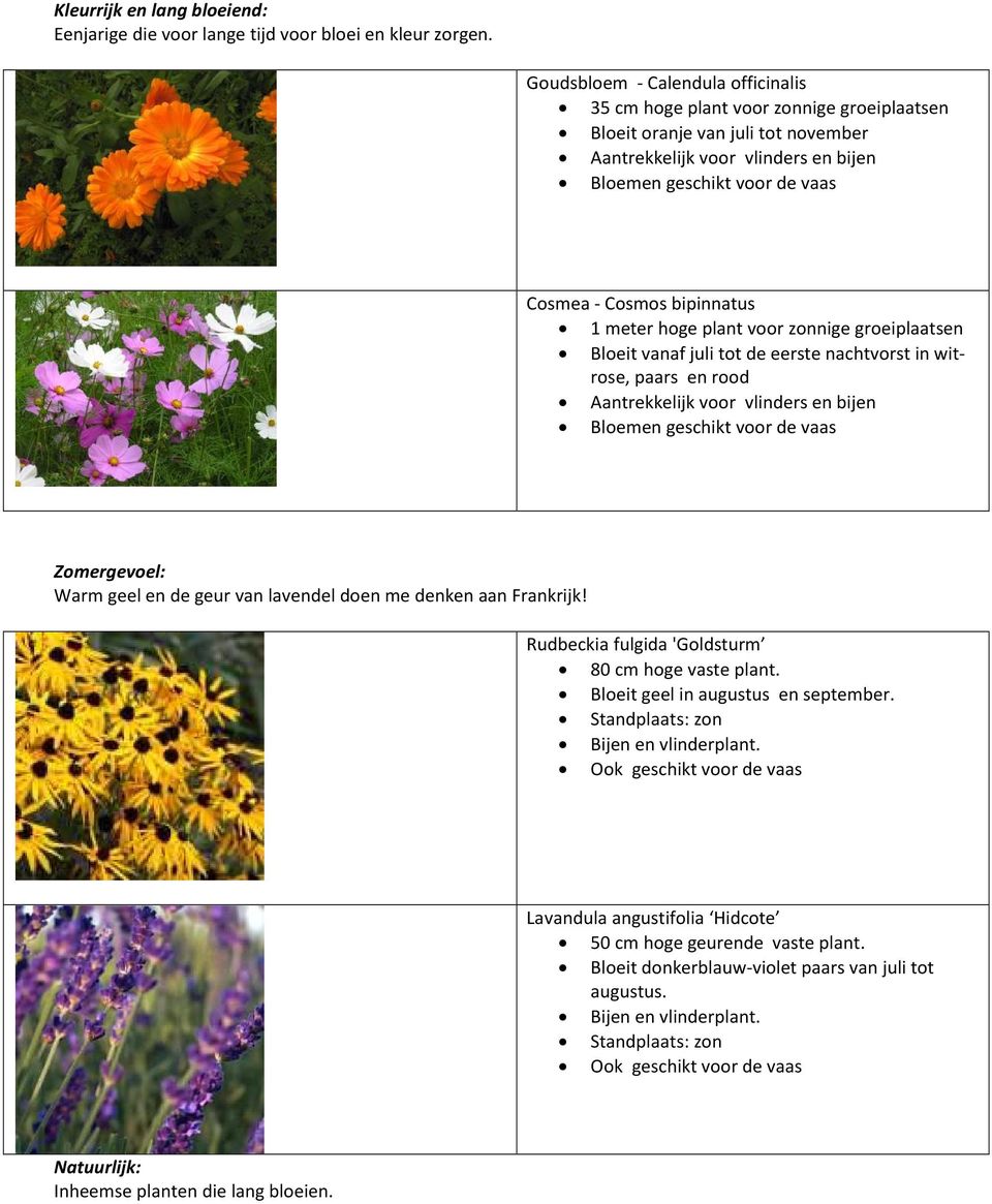 bipinnatus 1 meter hoge plant voor zonnige groeiplaatsen Bloeit vanaf juli tot de eerste nachtvorst in witrose, paars en rood Aantrekkelijk voor vlinders en bijen Bloemen geschikt voor de vaas