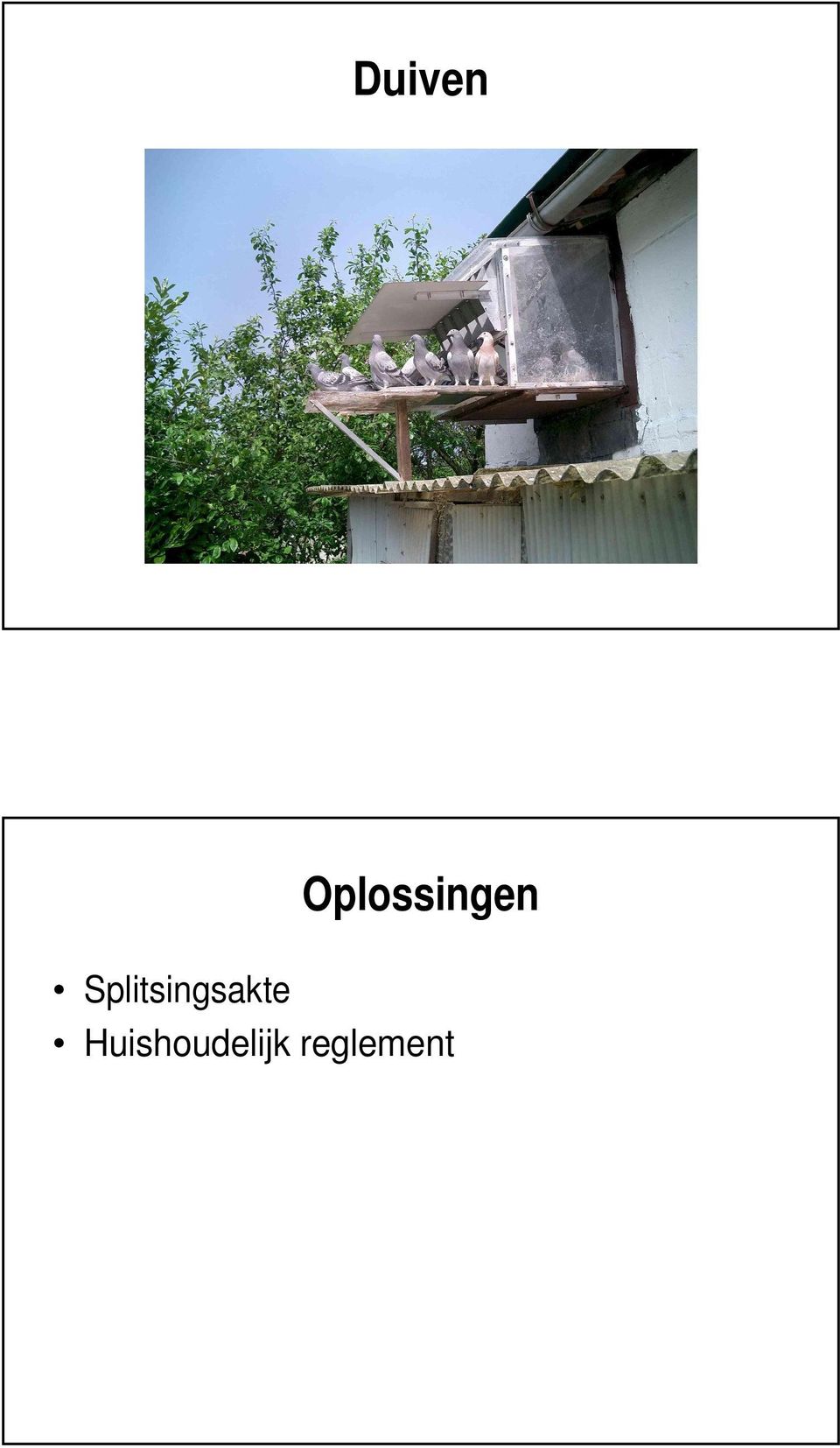 Oplossingen