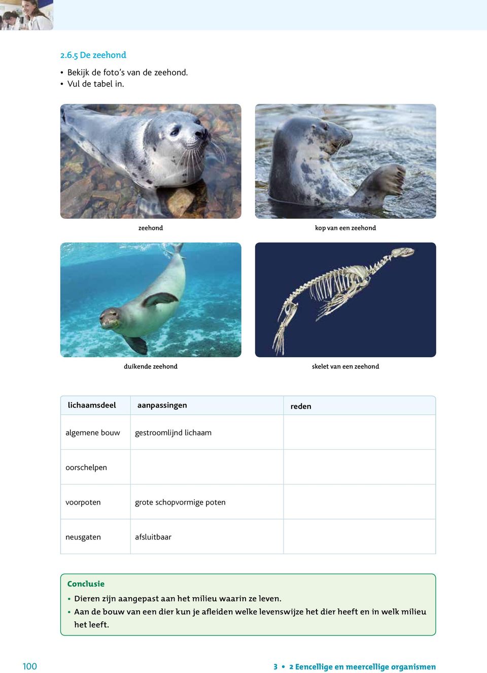 gestroomlijnd lichaam oorschelpen voorpoten grote schopvormige poten neusgaten afsluitbaar Conclusie Dieren zijn