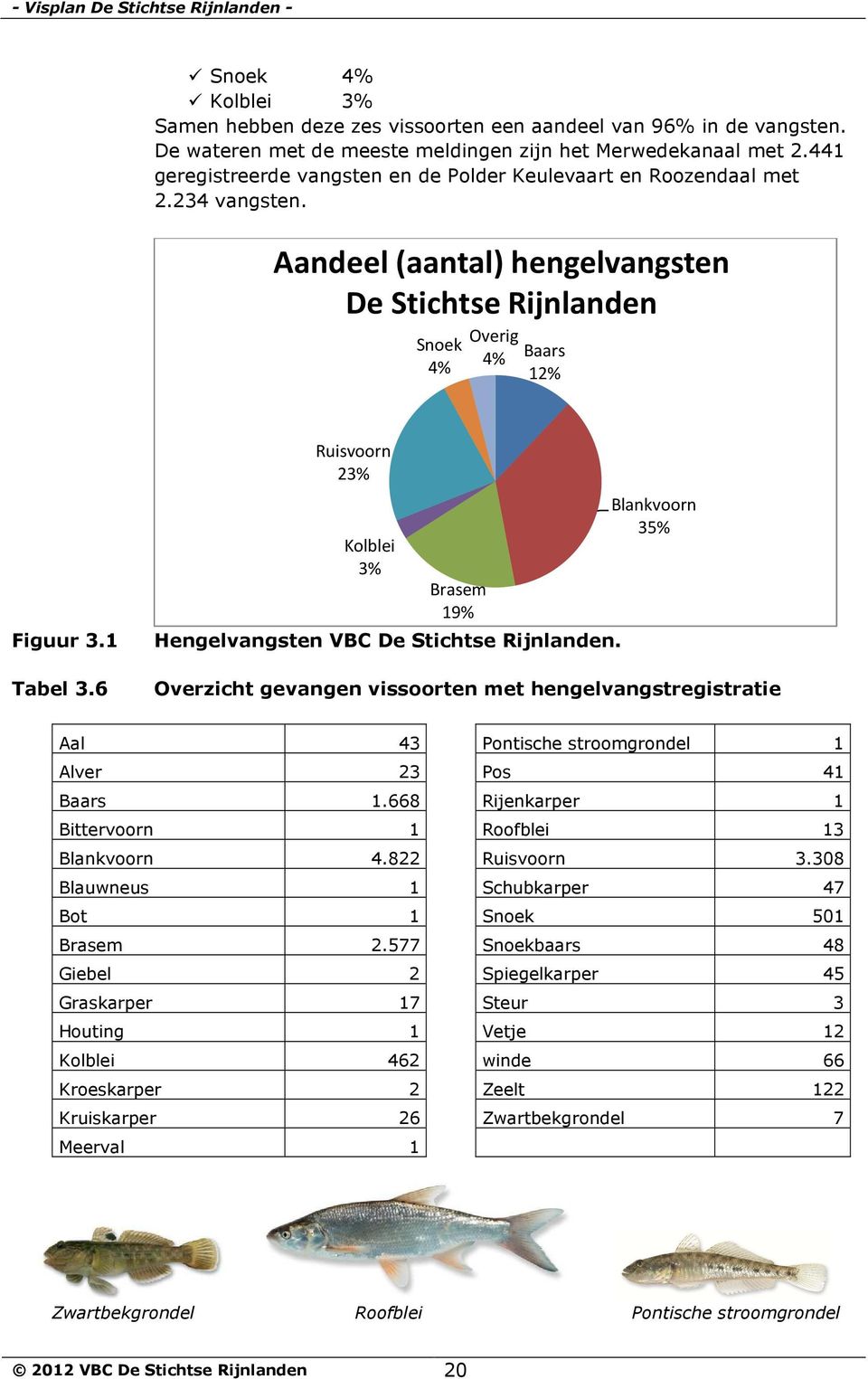 6 Ruisvoorn 23% Kolblei 3% Brasem 19% Hengelvangsten VBC De Stichtse Rijnlanden.