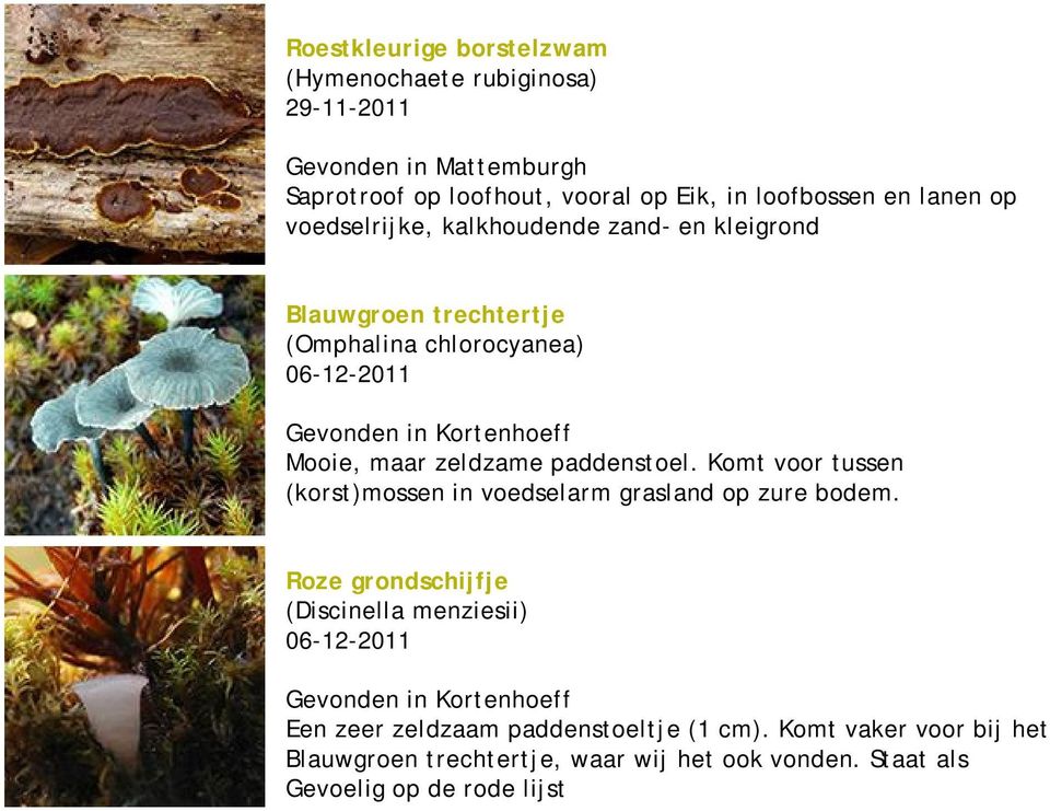 Komt voor tussen (korst)mossen in voedselarm grasland op zure bodem.