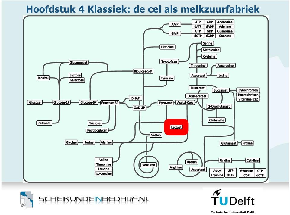 de cel als