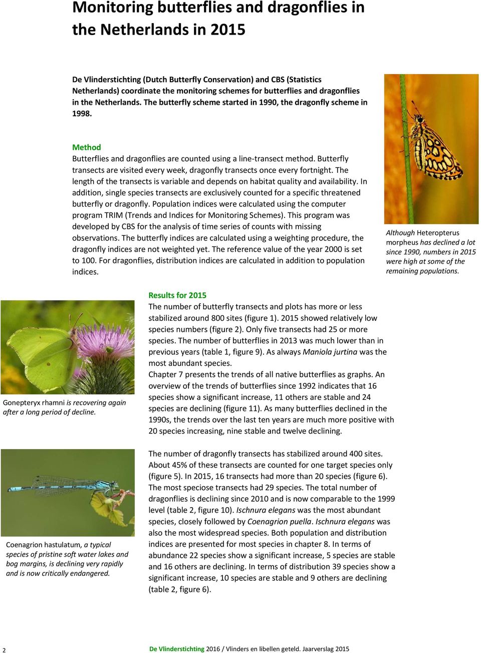 Butterfly transects are visited every week, dragonfly transects once every fortnight. The length of the transects is variable and depends on habitat quality and availability.