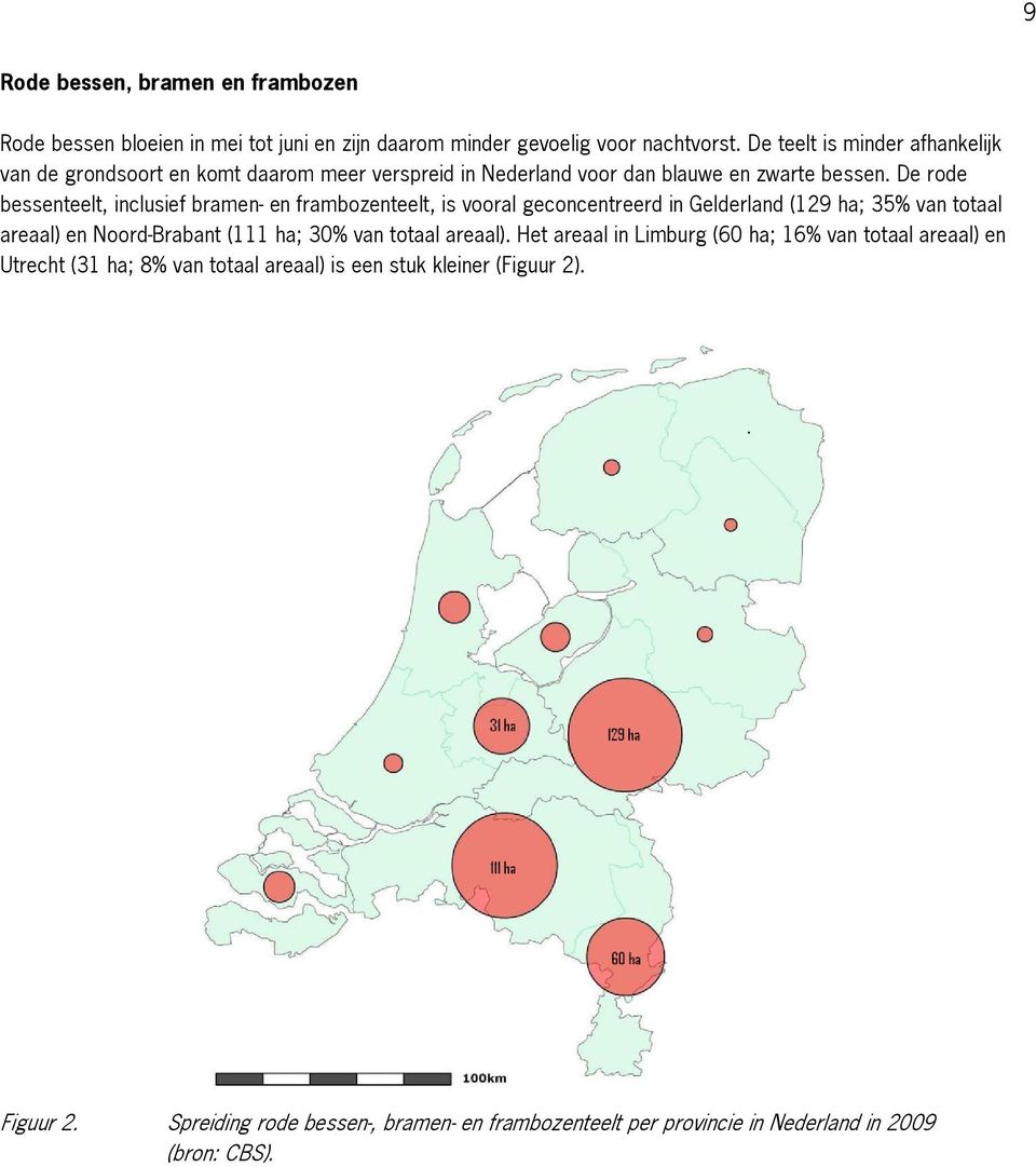 De rode bessenteelt, inclusief bramen- en frambozenteelt, is vooral geconcentreerd in Gelderland (129 ha; 35% van totaal areaal) en Noord-Brabant (111 ha; 30% van