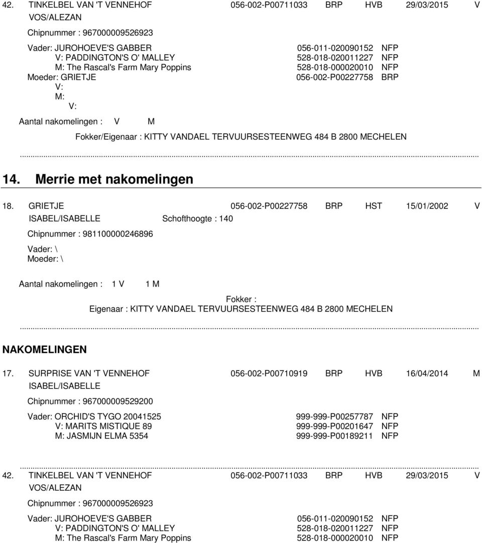 GRIETJE 056-002-P00227758 BRP HST 15/01/2002 V ISABEL/ISABELLE Schofthoogte : 140 Chipnummer : 981100000246896 Vader: \ Moeder: \ Aantal nakomelingen : 1 V 1 M Eigenaar : KITTY VANDAEL