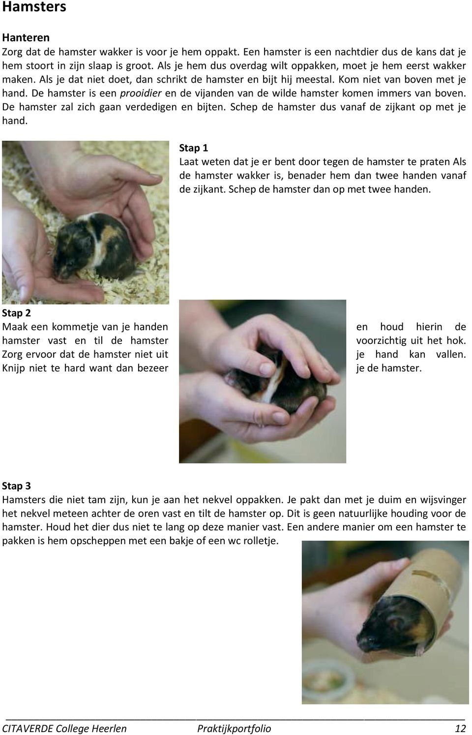 De hamster is een prooidier en de vijanden van de wilde hamster komen immers van boven. De hamster zal zich gaan verdedigen en bijten. Schep de hamster dus vanaf de zijkant op met je hand.