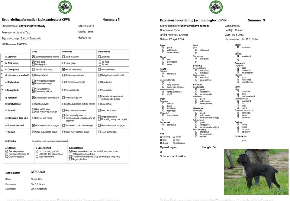 Leeftijd: 13 mnd NHSB nummer: 29400255 Geb.: 18-3-2013 : : dhr. C.F. Rutten on licht Opmerkingen Hoogte: 64 U mocht vlakker.