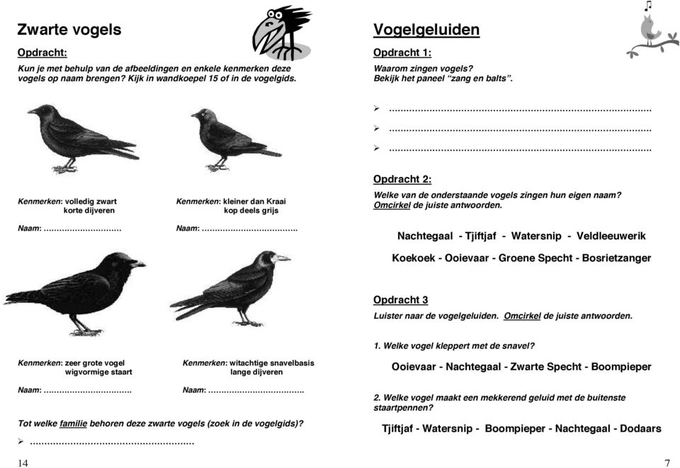 Omcirkel de juiste antwoorden. Nachtegaal - Tjiftjaf - Watersnip - Veldleeuwerik Koekoek - Ooievaar - Groene Specht - Bosrietzanger Opdracht 3 Luister naar de vogelgeluiden.