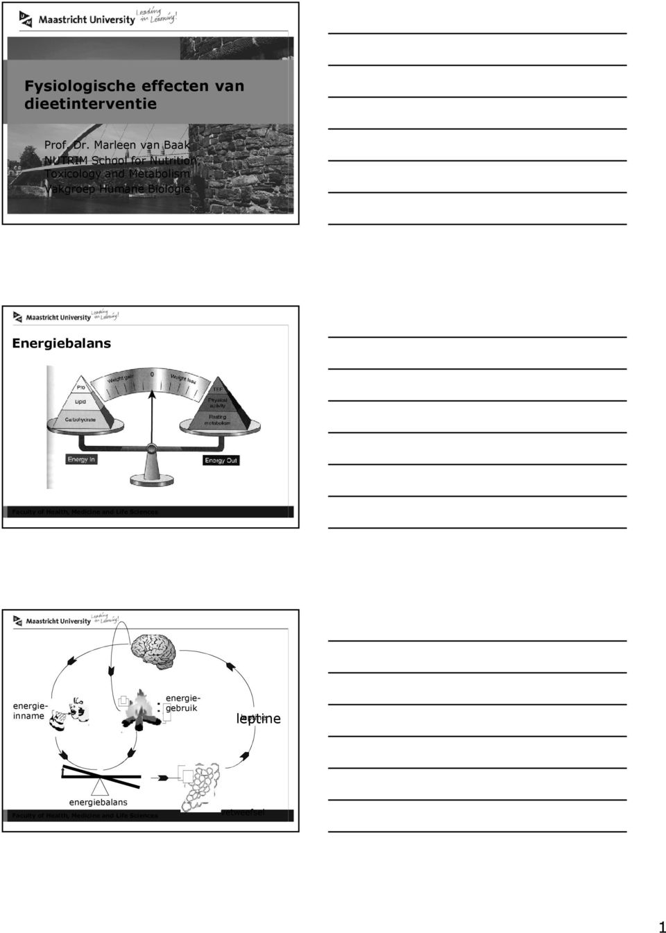 and Metabolism Vakgroep Humane Biologie Energiebalans