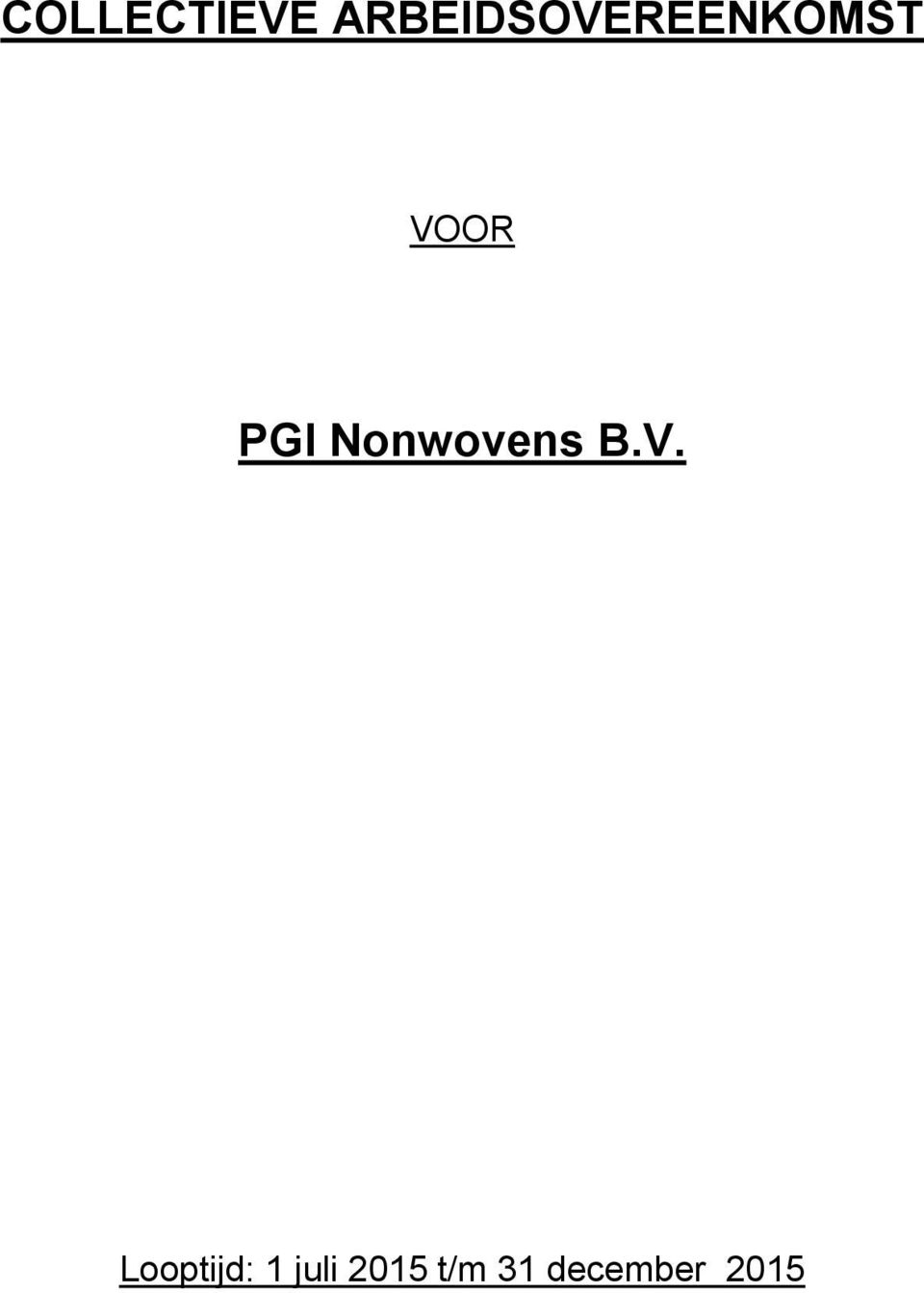 PGI Nonwovens B.V.