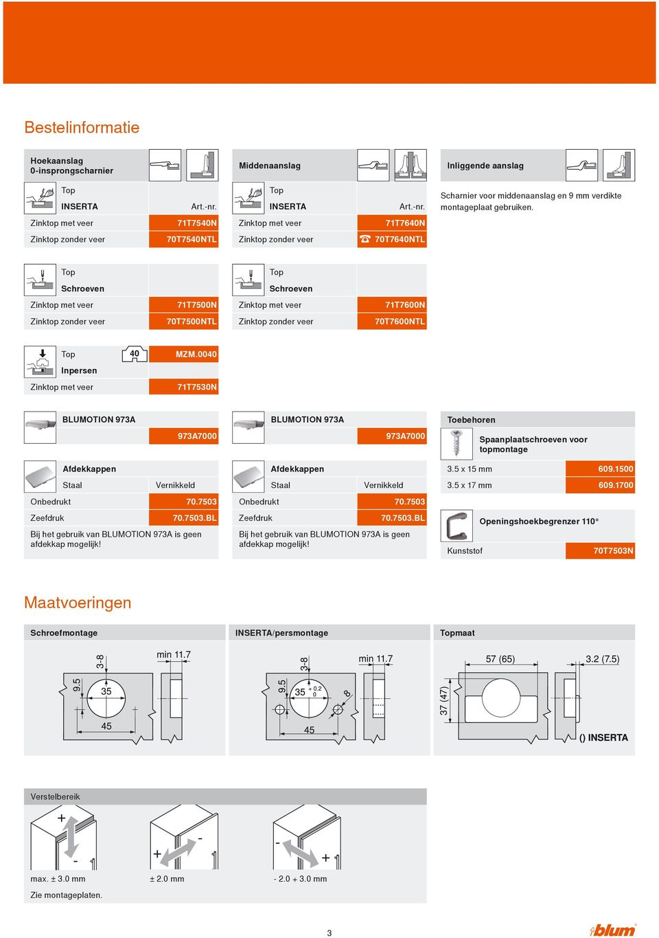 0040 71T7530N BLUMOTION 973A BLUMOTION 973A Toebehoren 973A7000 973A7000 Spaanplaatschroeven voor topmontage Staal Onbedrukt Zeefdruk Afdekkappen Vernikkeld 7 0.75 0 3 70.7503.