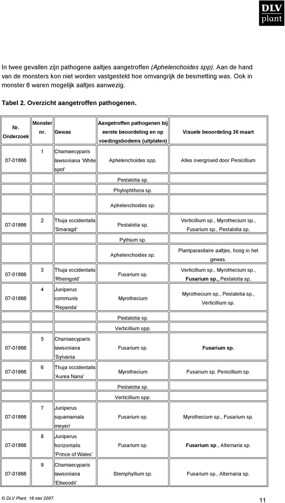 Gewas Aangetroffen pathogenen bij eerste beoordeling en op voedingsbodems (uitplaten) Visuele beoordeling 30 maart 1 Chamaecyparis lawsoniana White Aphelenchoides spp.