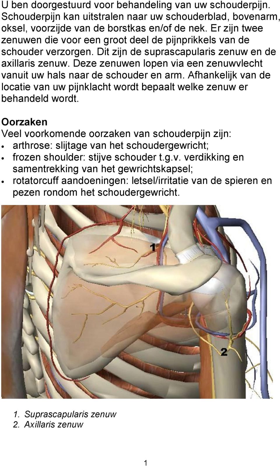 Deze zenuwen lopen via een zenuwvlecht vanuit uw hals naar de schouder en arm. Afhankelijk van de locatie van uw pijnklacht wordt bepaalt welke zenuw er behandeld wordt.