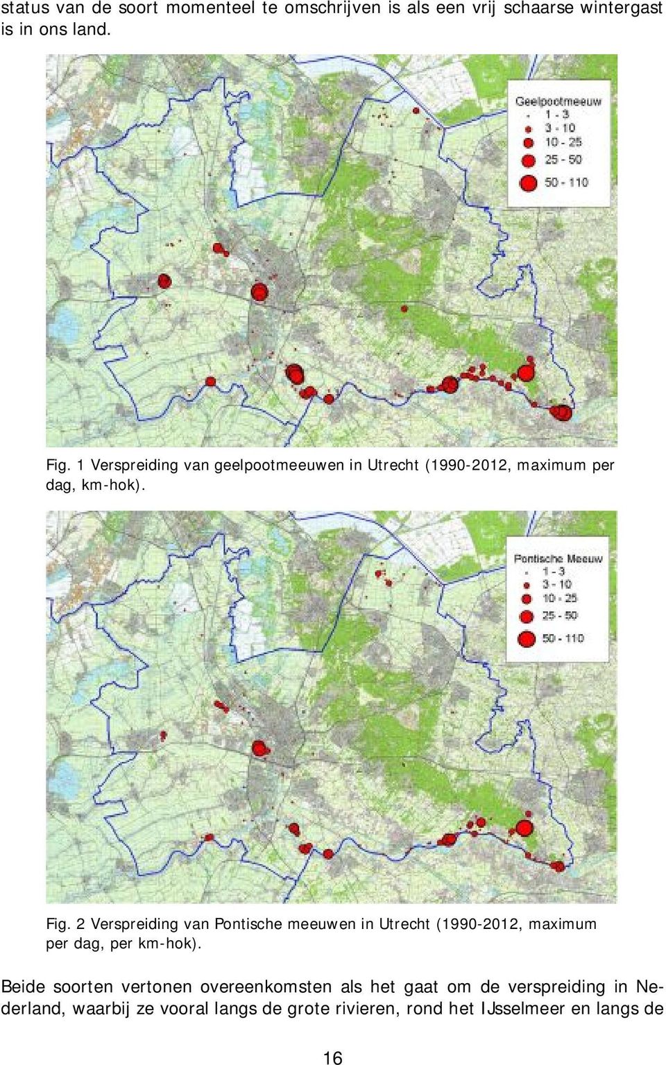 2 Verspreiding van Pontische meeuwen in Utrecht (1990-2012, maximum per dag, per km-hok).